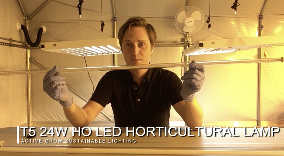 Active Grow T5 LED Grow Lights Vs. T5 Fluorescent Tubes Test Video