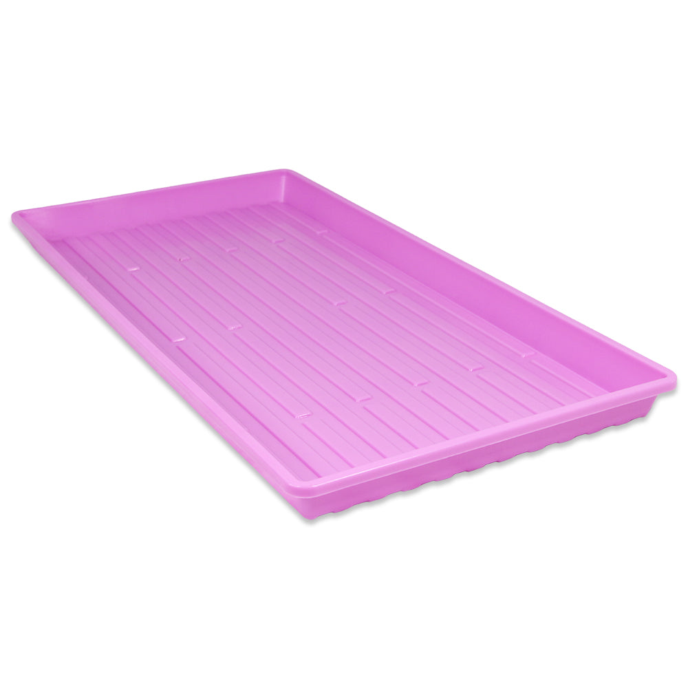 hydroponic plant trays 1020 Heavy Duty Microgreen Trays – Shallow No Holes – Purple 30-Pack