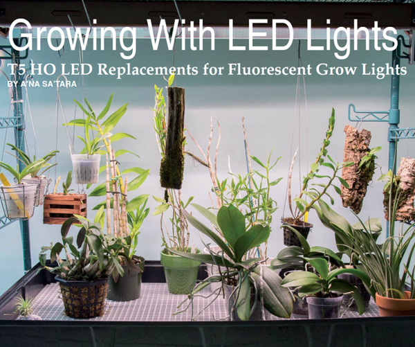 Active Grow Featured in ORCHIDS Magazine: T5 HO LED Replacements for Fluorescent Grow Lights