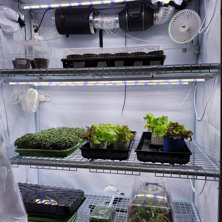 grow tent bundle Seeds & Starts 3-Tier Walden White LED Grow Tent Kit