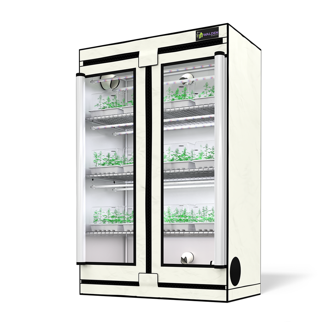 Active-Grow-Clones-Cuttings-3-