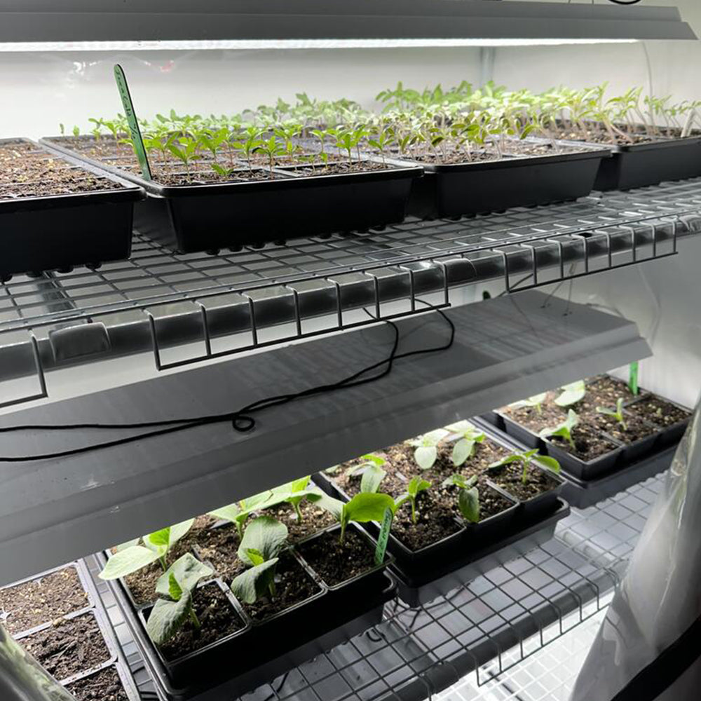 grow tent and kit Greens & Veggies 3-Tier Walden White LED Grow Tent Kit
