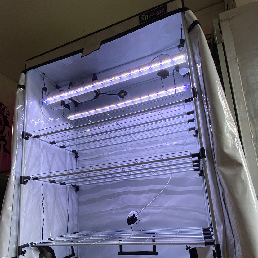 Integrated Strip T5 4FT LED Mushroom Grow Light (54W Eqv.) Blue Sun