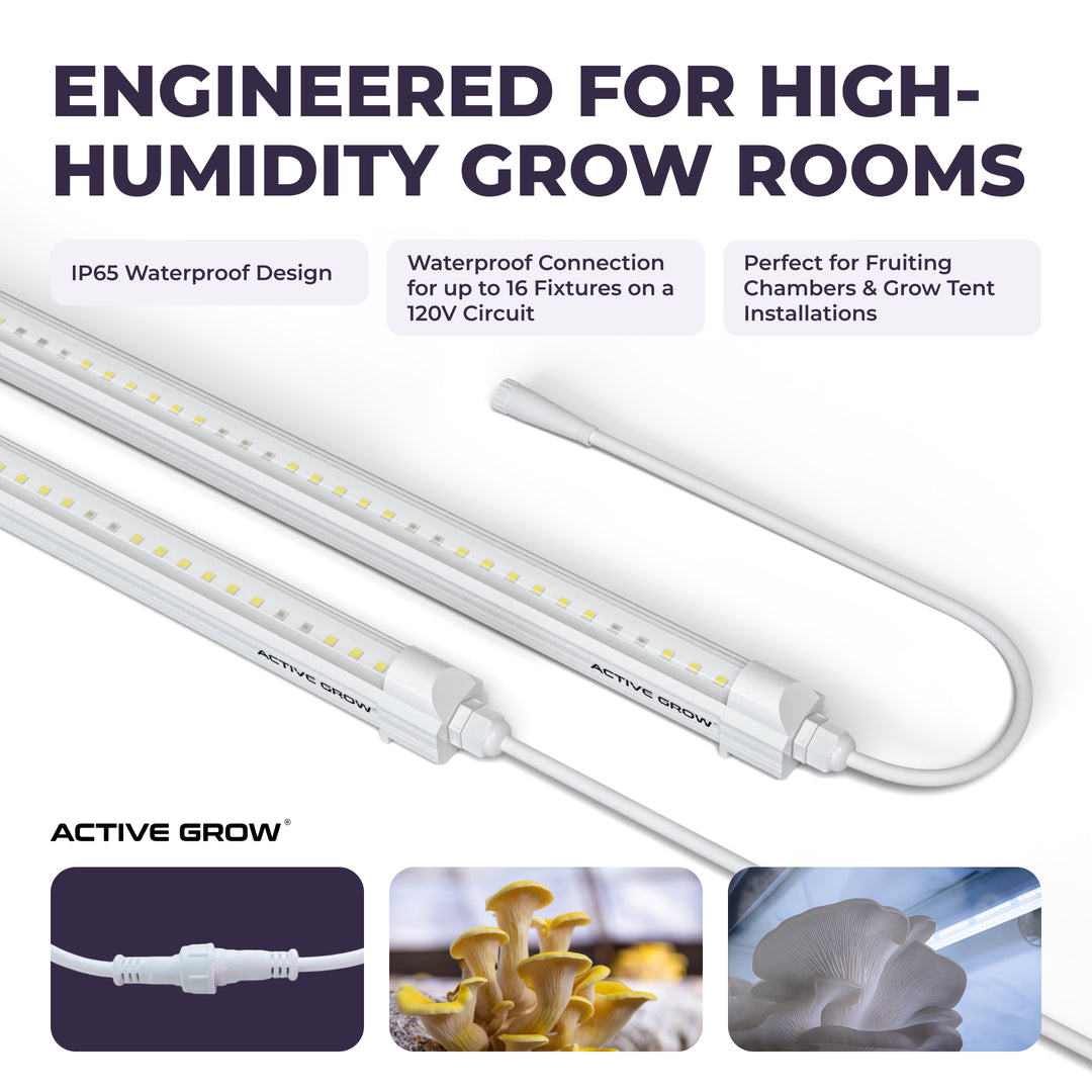 grow light for grow tent Integrated Strip T5 4FT LED Mushroom Grow Light (54W Eqv.) – Blue Sun –  Active Grow