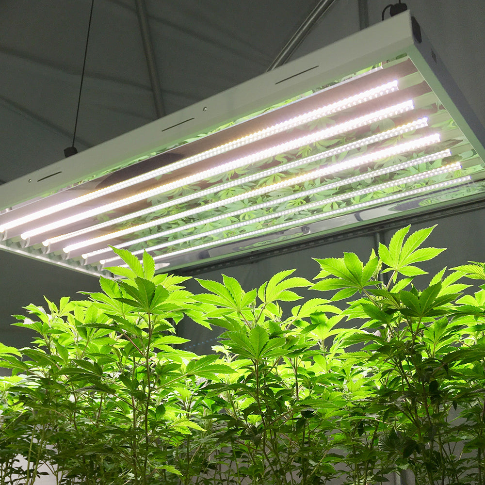 T5 HO Ballast Bypass 4FT LED Grow Lamp (54W Eqv.) Sun White Spectrum
