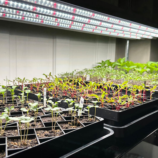 Active-Grow-T5-HO-LED-Grow-