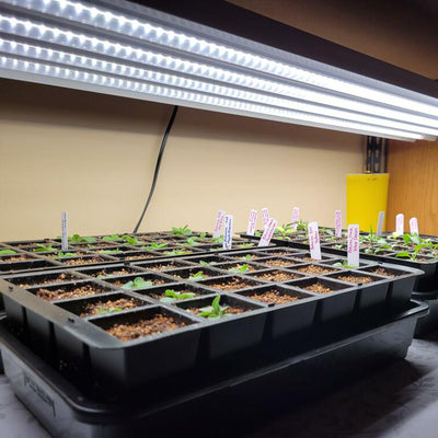 T5 HO 2.0 4FT 4 Lamp LED Grow Light (216W Eqv.) – Sun White Spectrum