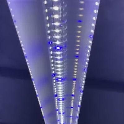 Integrated Strip T5 4FT LED Mushroom Grow Light – Blue Sun Spectrum