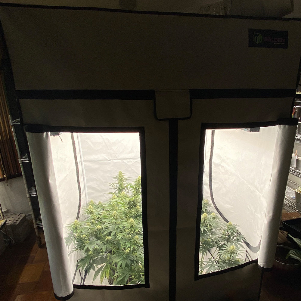 Indoor Grow Tent Kit - 2x4 Complete Grow Tent