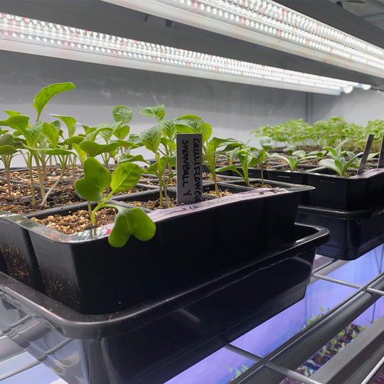 Optic 2 VEG Gen4 LED Grow Light 植物育成ライト 4 Tier Grow Light