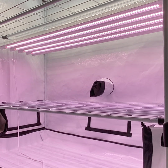 Active-Grow-T5-HO-LED-Grow-