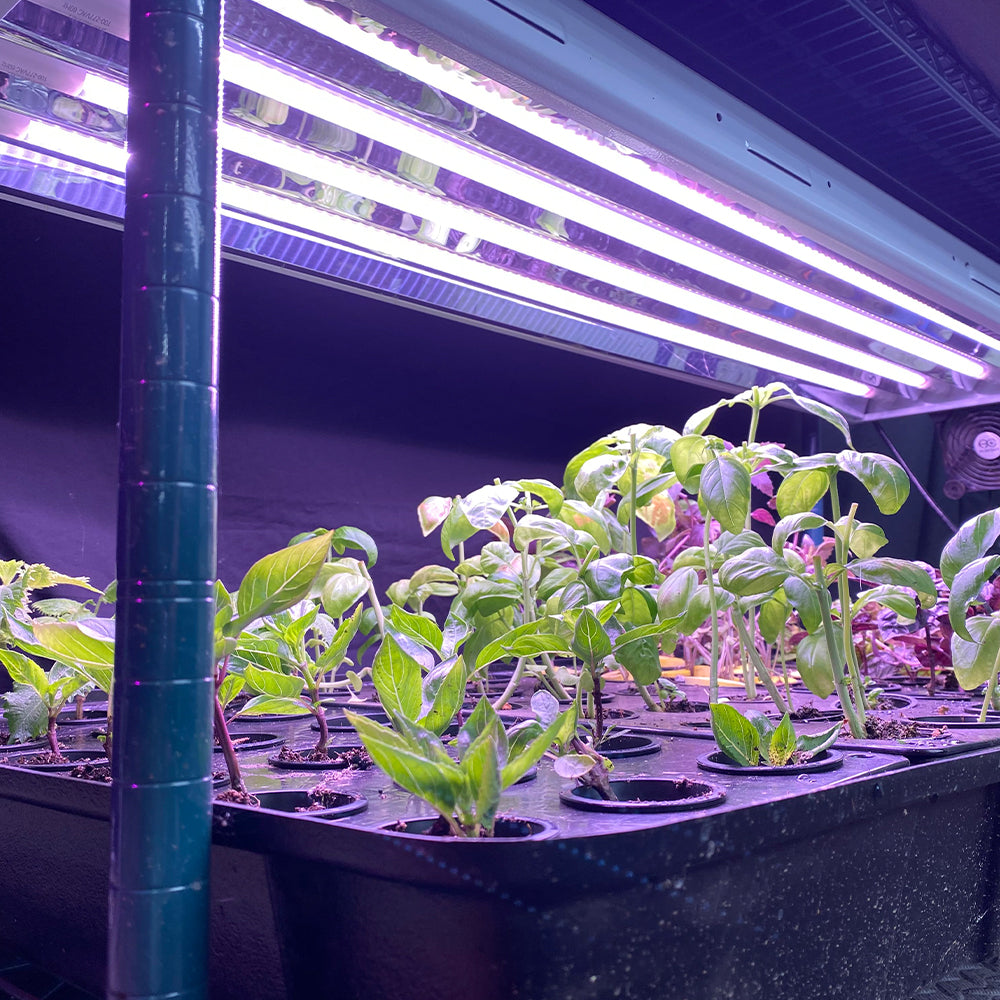 t5 lights for growing plants T5 HO Plug & Play 4FT LED Grow Lamp (54W Eqv.) – Red Bloom Pro Spectrum