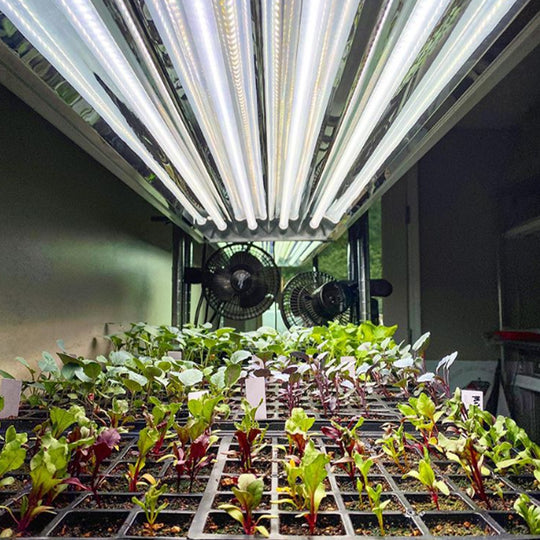 T5 HO Ballast Bypass 4FT LED Grow Lamp (54W Eqv.) – Sun White Pro